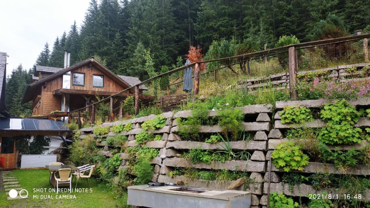 Chalet Steiermark Pusterwald المظهر الخارجي الصورة