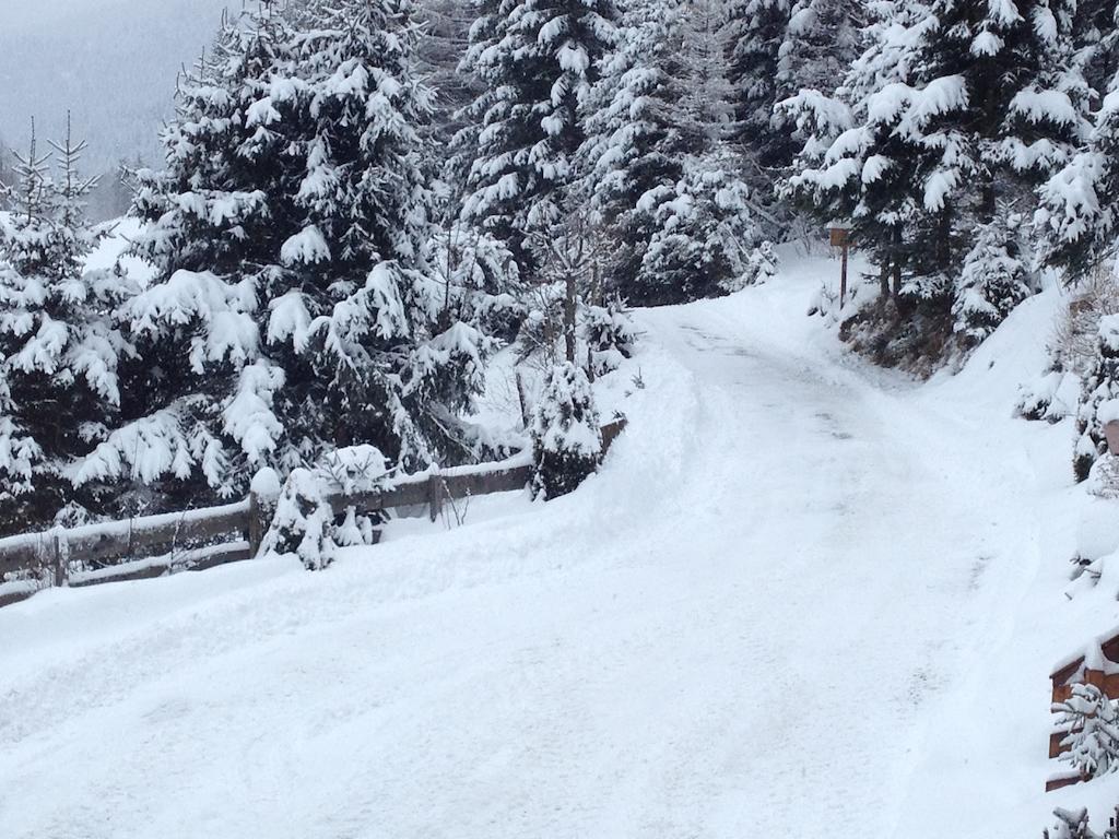 Chalet Steiermark Pusterwald الغرفة الصورة