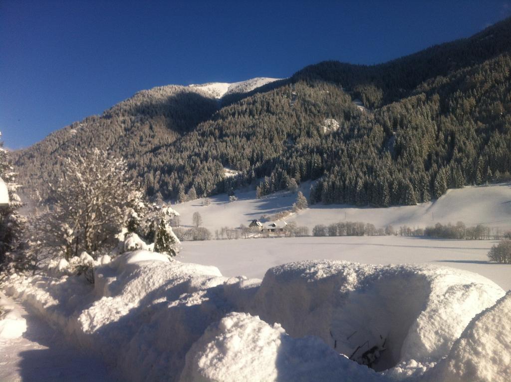 Chalet Steiermark Pusterwald الغرفة الصورة